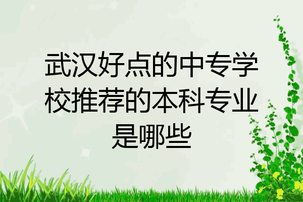 武汉好点的中专学校推荐的本科专业是哪些