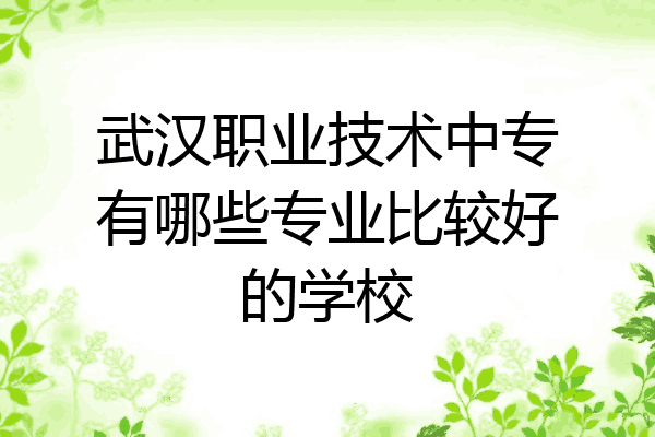 武汉职业技术中专有哪些专业比较好的学校