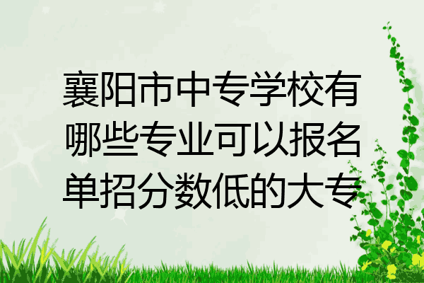 襄阳市中专学校有哪些专业可以报名单招分数低的大专