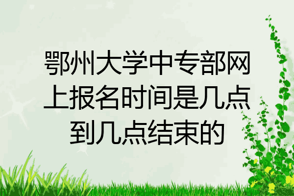 鄂州大学中专部网上报名时间是几点到几点结束的
