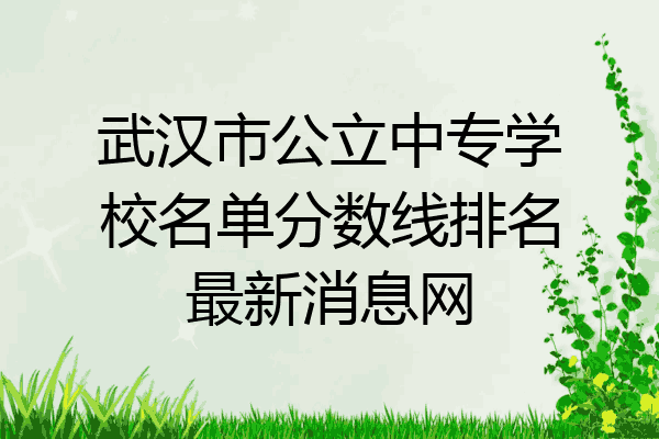 武汉市公立中专学校名单分数线排名最新消息网