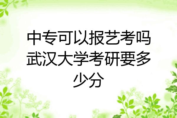 中专可以报艺考吗武汉大学考研要多少分