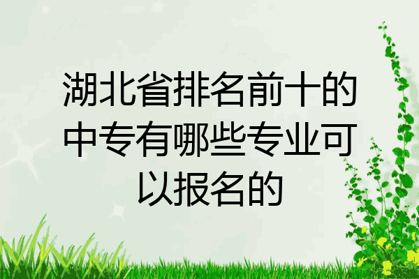 湖北省排名前十的中专有哪些专业可以报名的