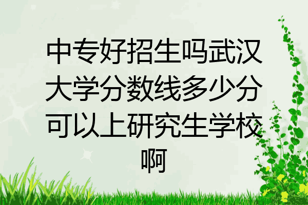 中专好招生吗武汉大学分数线多少分可以上研究生学校啊
