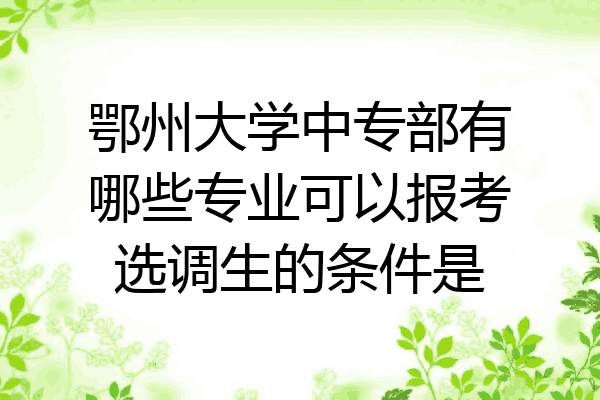 鄂州大学中专部有哪些专业可以报考选调生的条件是