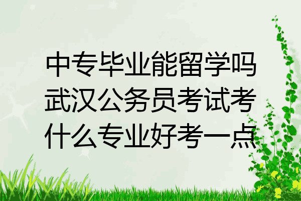 中专毕业能留学吗武汉公务员考试考什么专业好考一点