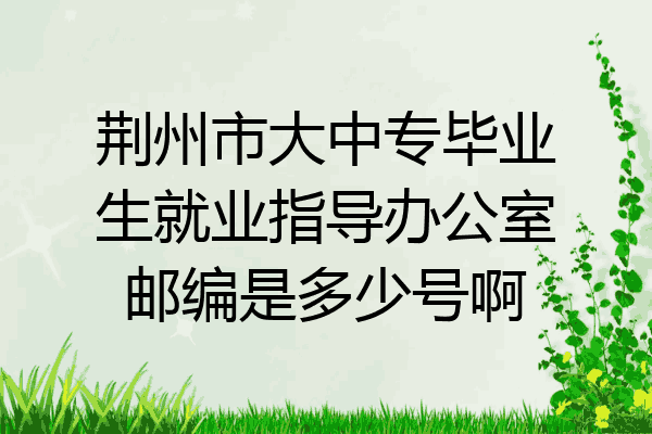 荆州市大中专毕业生就业指导办公室邮编是多少号啊
