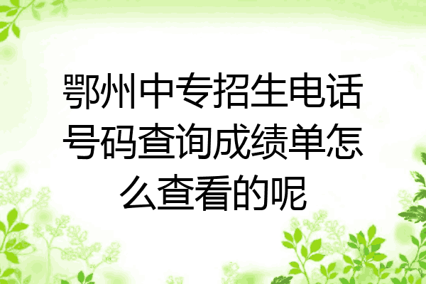 鄂州中专招生电话号码查询成绩单怎么查看的呢