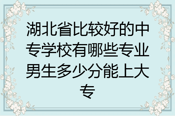 湖北省比较好的中专学校有哪些专业男生多少分能上大专