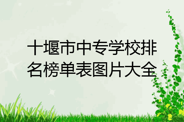 十堰市中专学校排名榜单表图片大全