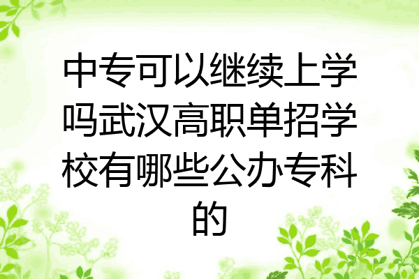 中专可以继续上学吗武汉高职单招学校有哪些公办专科的