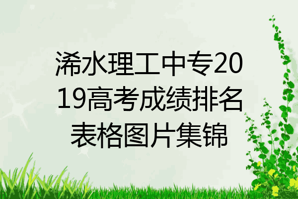 浠水理工中专2019高考成绩排名表格图片集锦
