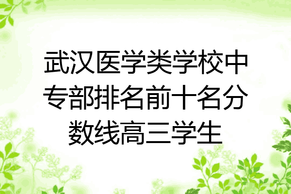 武汉医学类学校中专部排名前十名分数线高三学生