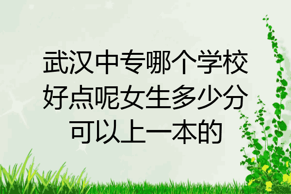 武汉中专哪个学校好点呢女生多少分可以上一本的
