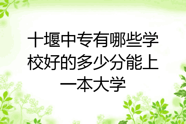 十堰中专有哪些学校好的多少分能上一本大学