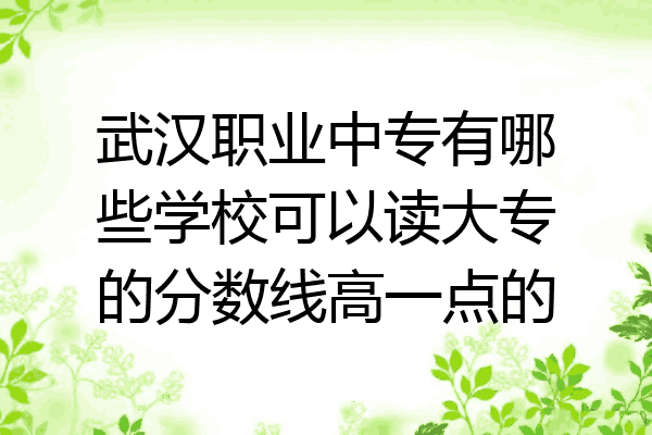 武汉职业中专有哪些学校可以读大专的分数线高一点的