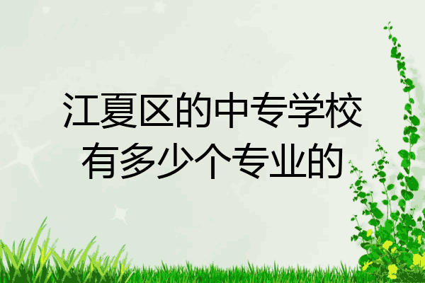 江夏区的中专学校有多少个专业的
