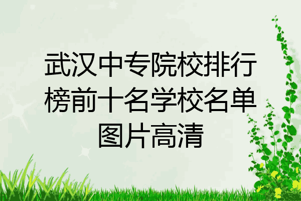 武汉中专院校排行榜前十名学校名单图片高清