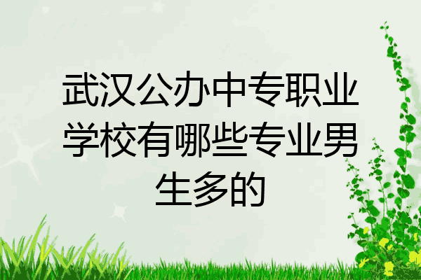武汉公办中专职业学校有哪些专业男生多的