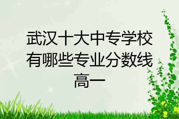 武汉十大中专学校有哪些专业分数线高一
