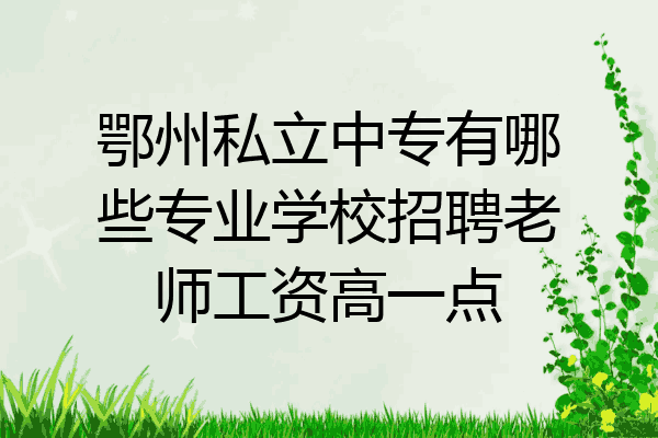 鄂州私立中专有哪些专业学校招聘老师工资高一点