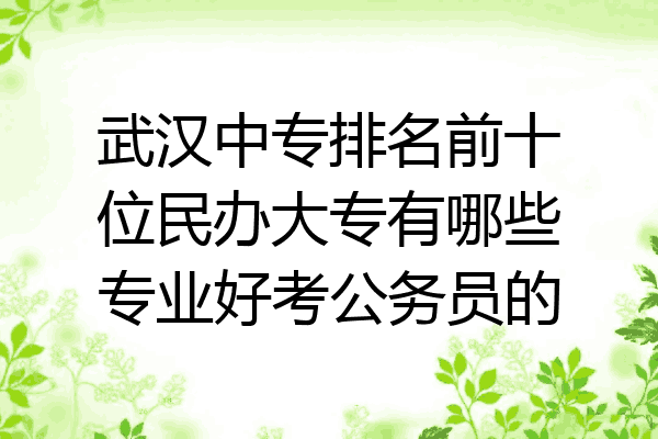 武汉中专排名前十位民办大专有哪些专业好考公务员的