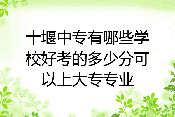 十堰中专有哪些学校好考的多少分可以上大专专业