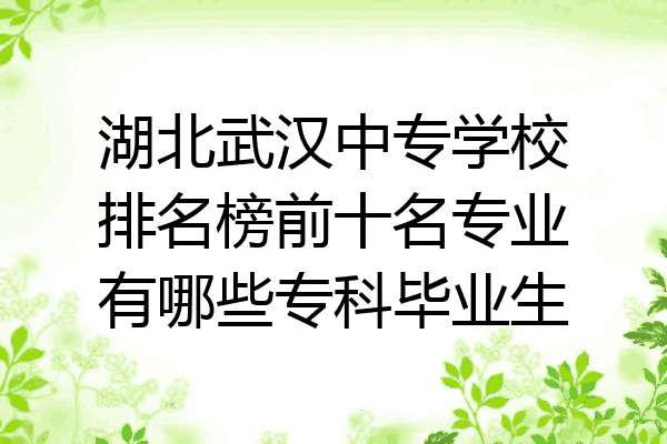 湖北武汉中专学校排名榜前十名专业有哪些专科毕业生
