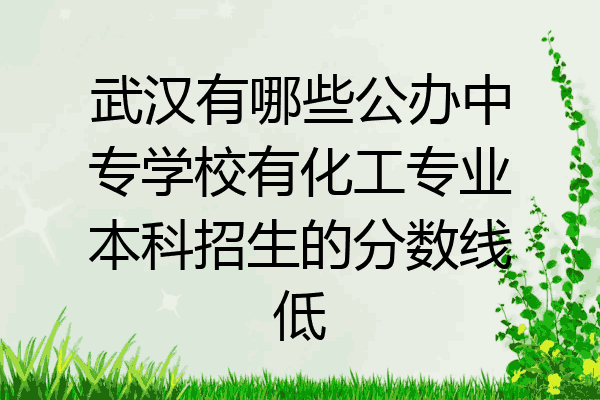 武汉有哪些公办中专学校有化工专业本科招生的分数线低