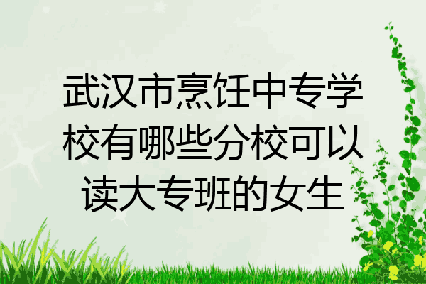武汉市烹饪中专学校有哪些分校可以读大专班的女生