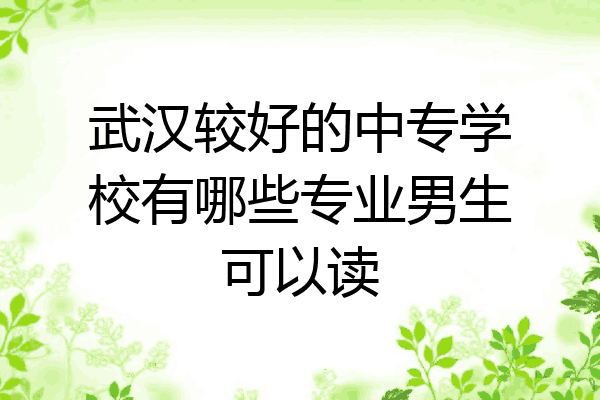 武汉较好的中专学校有哪些专业男生可以读