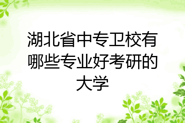 湖北省中专卫校有哪些专业好考研的大学