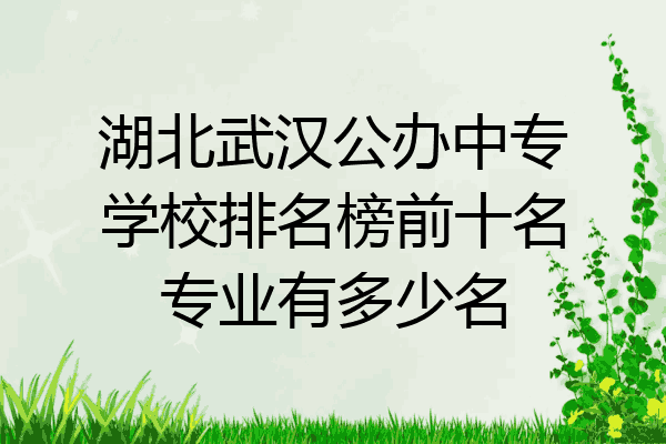 湖北武汉公办中专学校排名榜前十名专业有多少名