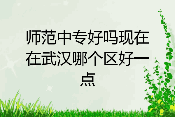 师范中专好吗现在在武汉哪个区好一点