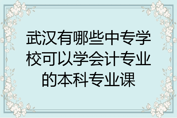 武汉有哪些中专学校可以学会计专业的本科专业课