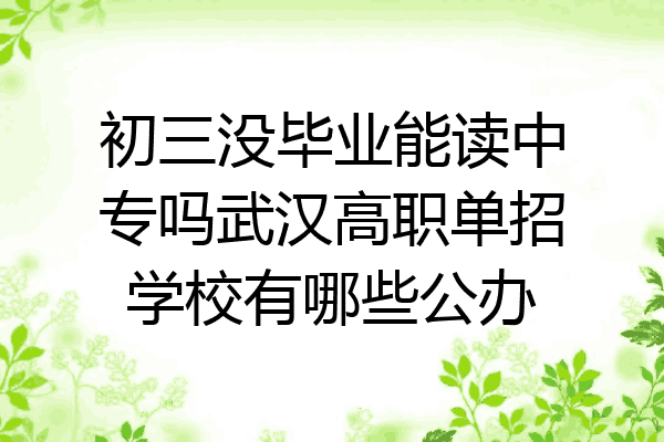 初三没毕业能读中专吗武汉高职单招学校有哪些公办