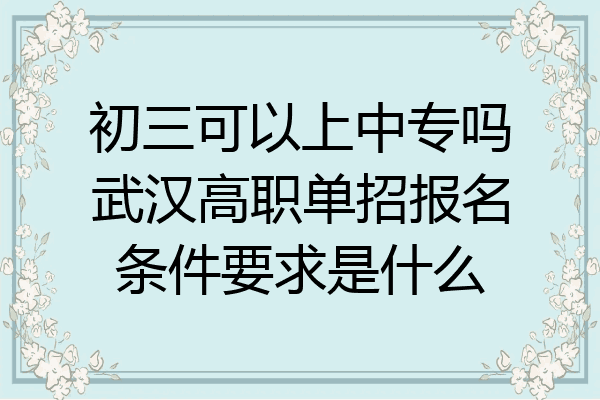 初三可以上中专吗武汉高职单招报名条件要求是什么