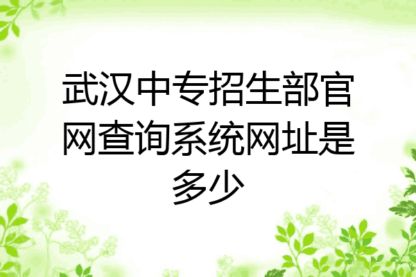 武汉中专招生部官网查询系统网址是多少