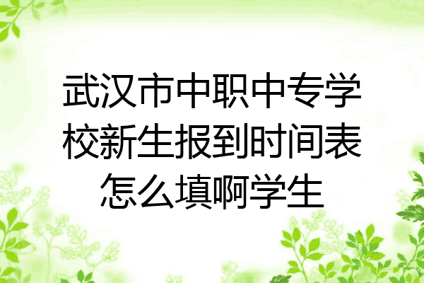 武汉市中职中专学校新生报到时间表怎么填啊学生