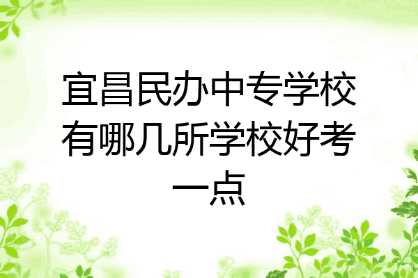 宜昌民办中专学校有哪几所学校好考一点