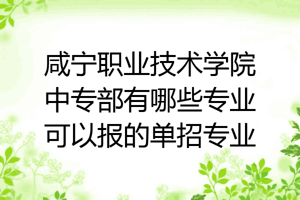 咸宁职业技术学院中专部有哪些专业可以报的单招专业