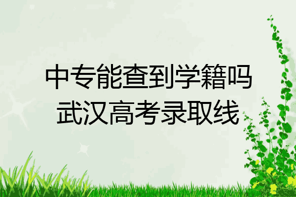 中专能查到学籍吗武汉高考录取线