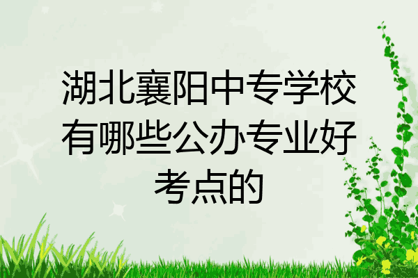 湖北襄阳中专学校有哪些公办专业好考点的