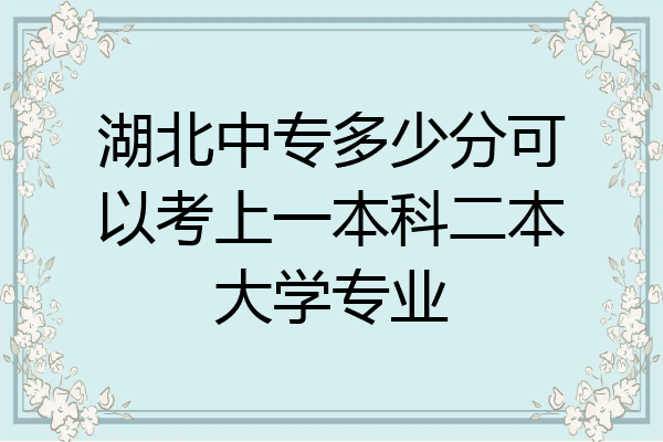 湖北中专多少分可以考上一本科二本大学专业