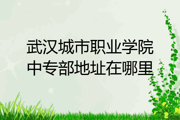 武汉城市职业学院中专部地址在哪里