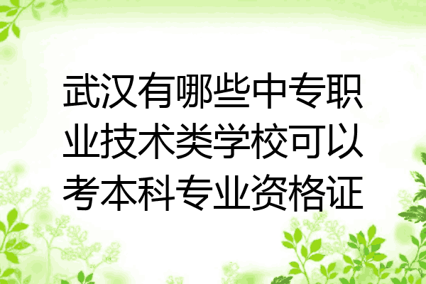 武汉有哪些中专职业技术类学校可以考本科专业资格证