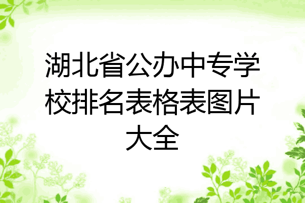 湖北省公办中专学校排名表格表图片大全
