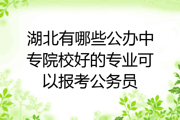 湖北有哪些公办中专院校好的专业可以报考公务员