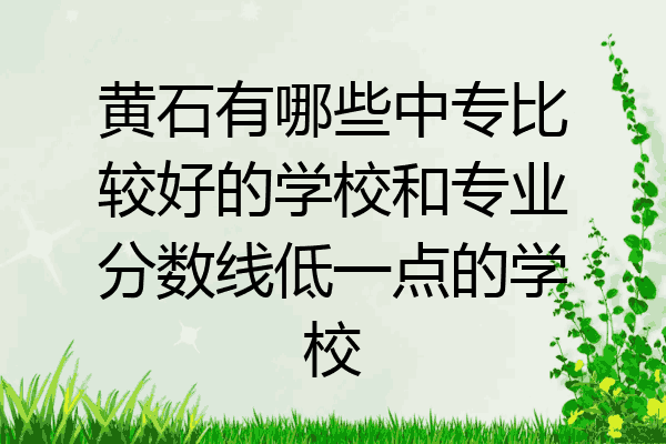 黄石有哪些中专比较好的学校和专业分数线低一点的学校