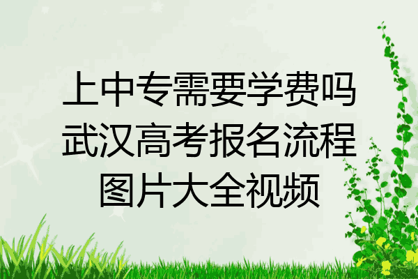 上中专需要学费吗武汉高考报名流程图片大全视频